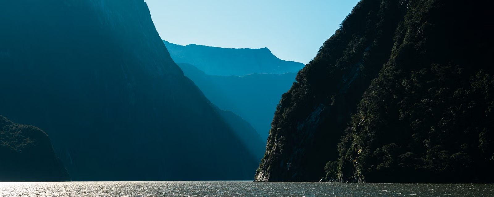 Steep forested cliffs above a New Zealand fiord